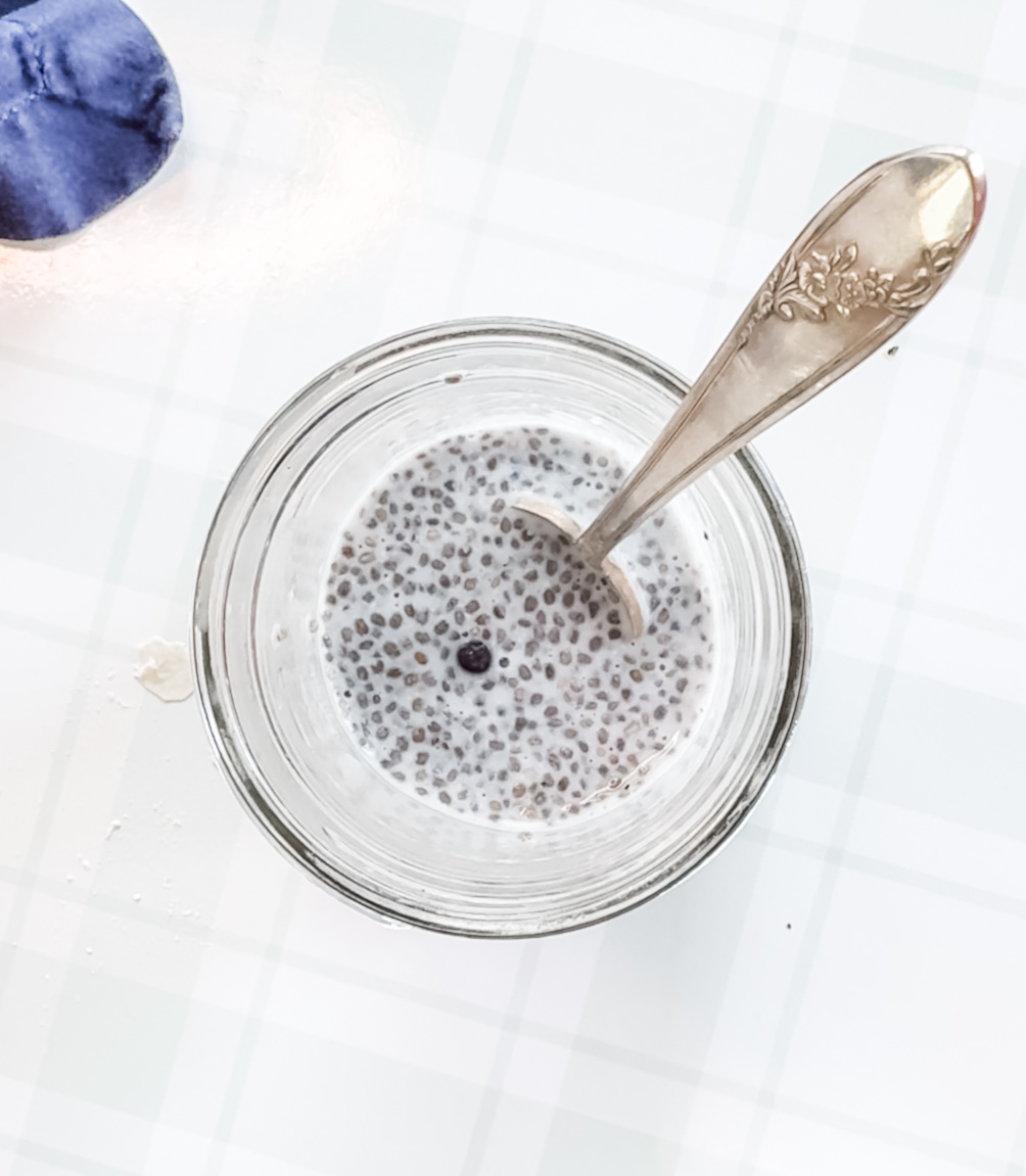 Easy 4-Ingredient Blueberry Chia Seed Pudding